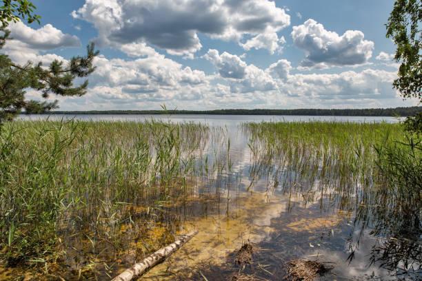 istock White Lake shore in Rivne region, Ukraine. 1512044641