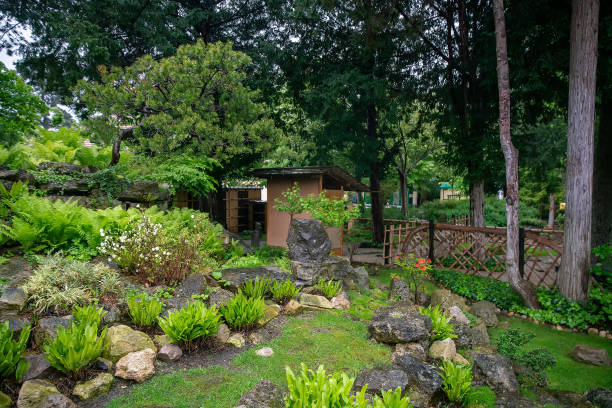 istock Japanese garden in Vienna (inside Botanical garden) 1512064910