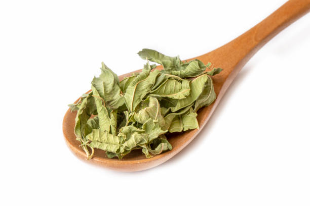 istock Salvia Officinalis (Green sage tea) on the white background 1512199768