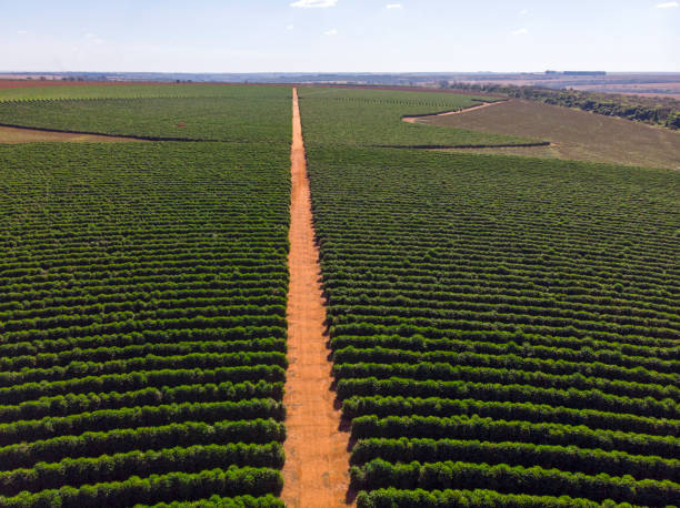 istock Aerial view of a farm 1512212864