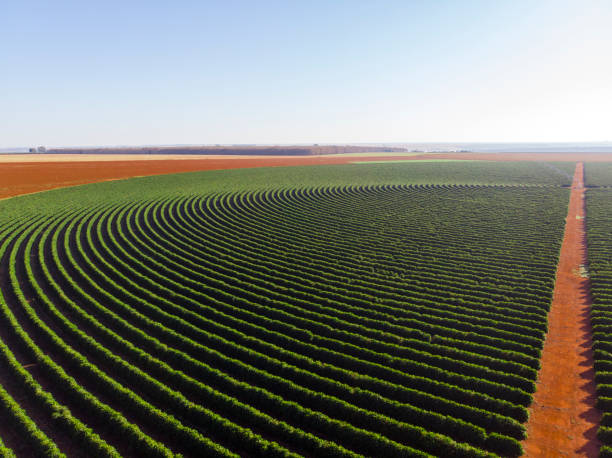 istock Aerial view of a farm 1512214415