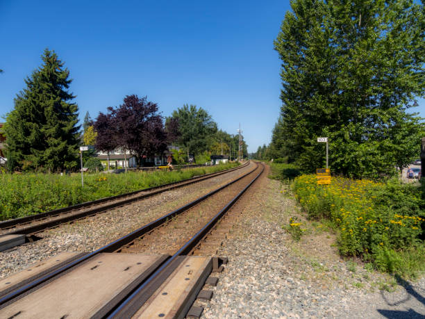 istock Town of Port Langley 1512223898