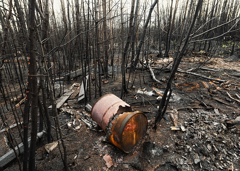 Illegally dumped garbage burned after a wild fire.