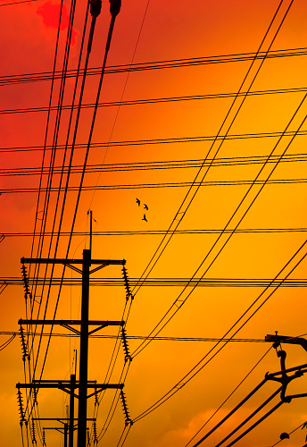 Electricity power line tower and silhouetted flying group of birds over orange sky during sunset