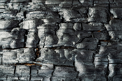 Half charred wooden wall of the house, contrast
