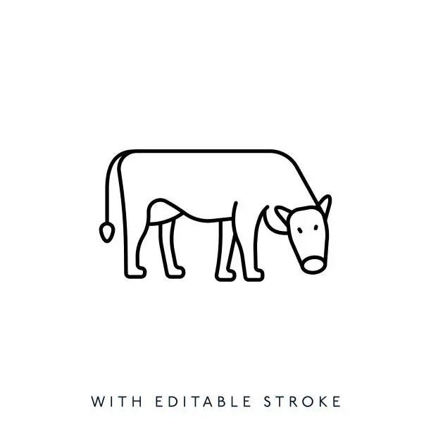 Vector illustration of Cow Line Icon Editable Stroke