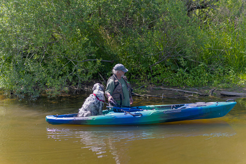 A man teaches and accustoms his dog to kayaking on the Silver creek in Manitowoc in Wisconsin