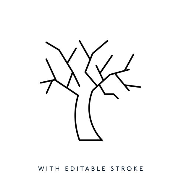 illustrazioni stock, clip art, cartoni animati e icone di tendenza di icona della linea dell'albero secco. tratto modificabile - oak tree treelined tree single object