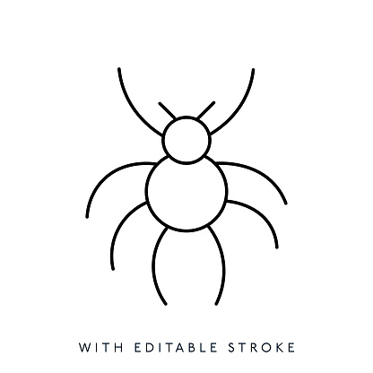 Spider Line Icon Editable Stroke