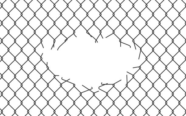 istock Broken wire mesh fence. Rabitz or chain link fence with cut hole. Torn wire pirson mesh texture. Cut metal lattice grid. Vector illustration isolated on white background 1512394589