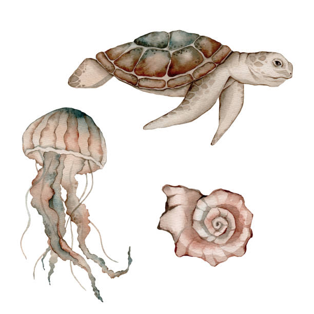 zestaw plakatów ze zwierzętami morskimi. niebieski, greeen, brązowy akwarela oceaniczne meduzy, meduza, żółw . ilustracja morska dzikiej przyrody morskiej - new york flooding stock illustrations