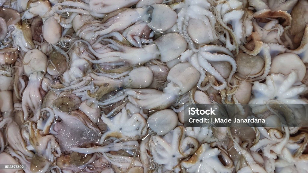 Baby Squid At The Fish Market Baby Squids Are Used In Cooking And