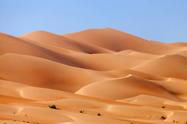 istock Desert landscape in the UAE, sand dunes 1512412597