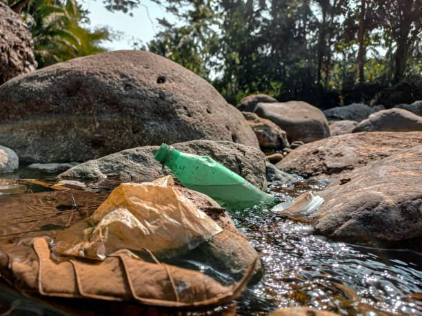 istock An used trash bottle in the river. An used plastic bottle. Environmental pollution problems 1512427881