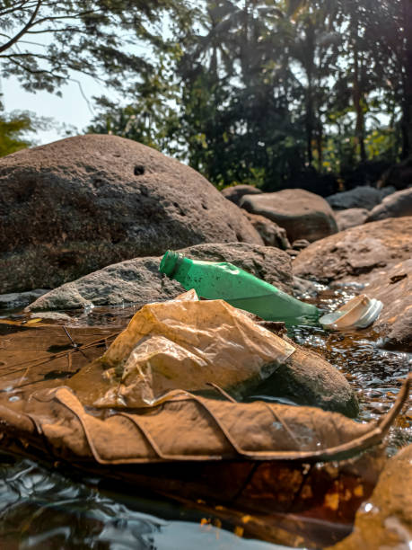 istock An used trash bottle in the river. An used plastic bottle. Environmental pollution problems 1512428352