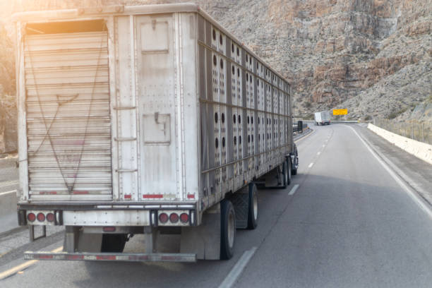 istock semi truck on highway road through the canyons 1512437532