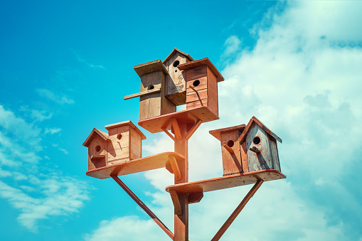 Group of several wooden bird houses mounted on pole against blue sky in spring garden outdoor. Mortgage and family house concept.