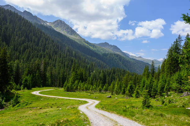 Winding mountain road Winding mountain road in the Alps. Silbertal, Montafon, Vorarlberg silbertal stock pictures, royalty-free photos & images