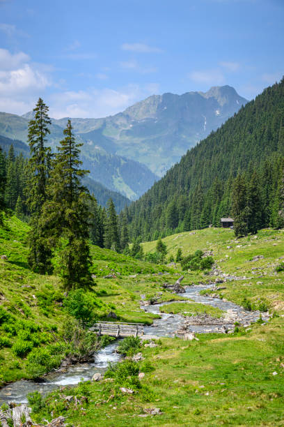 Landscape with footbridge above a stream Beautiful landscape with a pedestrian bridge above a stream. Silbertal, Montafon, Vorarlberg silbertal stock pictures, royalty-free photos & images