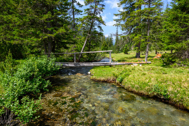 Simple footbridge above a stream Simple pedestrian bridge above a stream. Silbertal, Montafon, Vorarlberg silbertal stock pictures, royalty-free photos & images