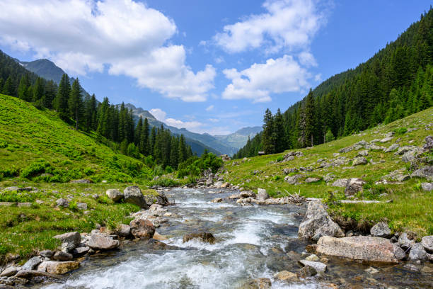 Landscape in the mountains with river and forest Idyllic landscape in the Alps with a small stream flowing to a river. Silbertal, Montafon, Vorarlberg silbertal stock pictures, royalty-free photos & images