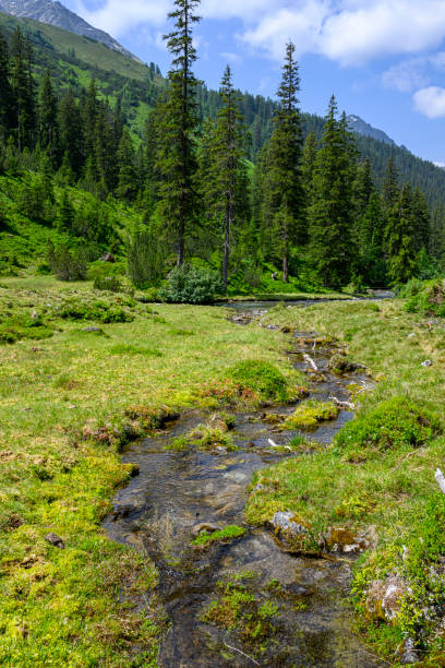 istock Landscape in the mountains with forest and stream 1512530163