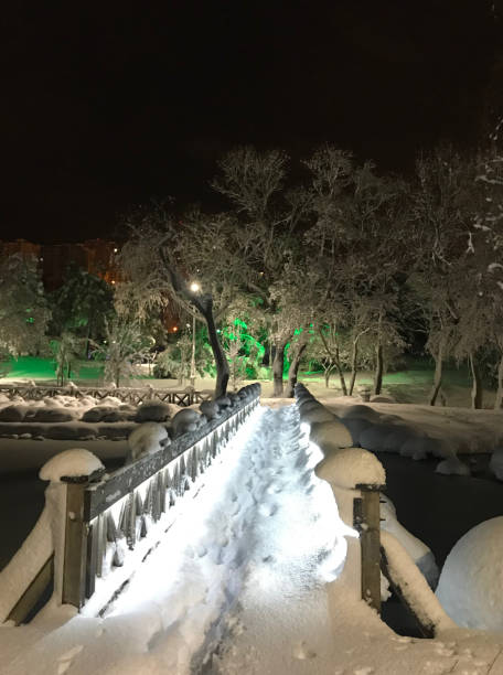istock Beautiful bridge at nature park 1512659860
