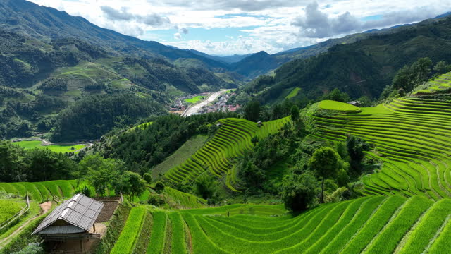 Rice terraces in Mu cang chai, Vietnam. Beautiful landscape in Vietnam.