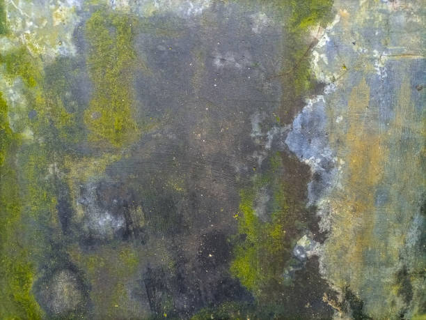 istock Dirty green fungus on wall texture Closeup. 1512721033