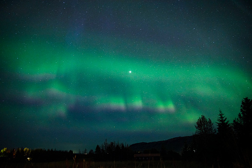 aurora in iceland