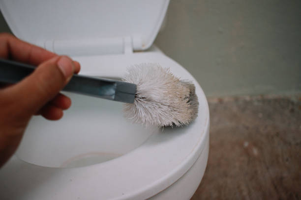 istock toilet brush cleaner 1512879455