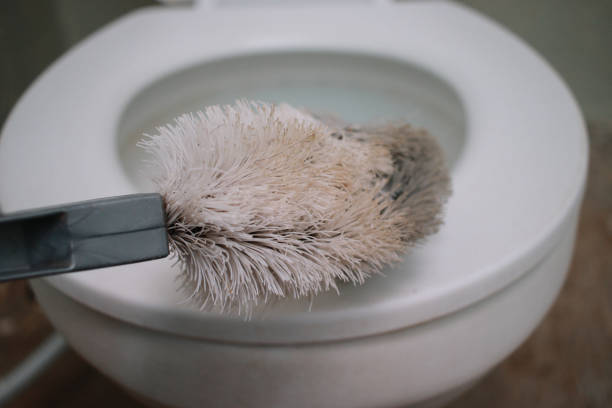 istock toilet brush cleaner 1512879491