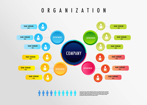 Infographic for business organization chart model depatment template, easily to change title and use could apply data timeline diagram roadmap report or progress presentation.