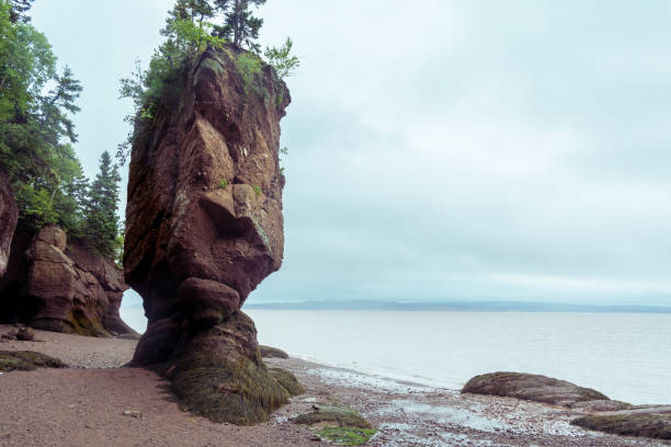 istock Bay of Fundy 1513018978