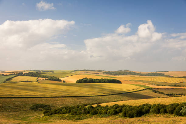 istock Evening golden hour south downs 1513020555