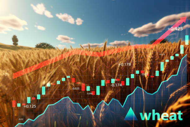 istock Wheat field in countryside in sunny day with graph 1513041685