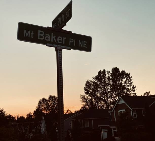 istock Sign in neighborhood during sunset 1513054244