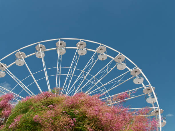 istock Ferris wheel and pink flowers 1513082764