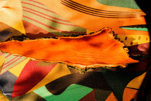 Orange bark of oak. Multicolored tablecloth. Sun shadows. Top View. Copy space.