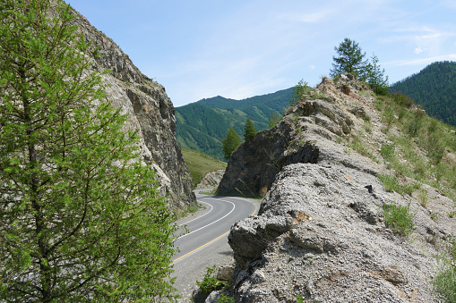 Mountain road in the Altai Mountains. Summer landscape.