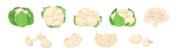 Cauliflower with Edible White Flesh Used in Culinary Vector Set. Fresh and Organic Agricultural Crop and Cultivar of Cabbage Concept
