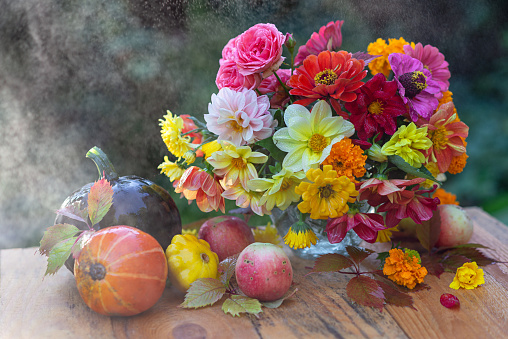 Autumn concept. A bouquet of beautiful flowers in a vase, pumpkins and apples in colorful leaves. autumn still life