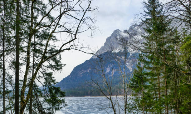 istock Forest in Front of Lake Eibsee Germany 1513155908
