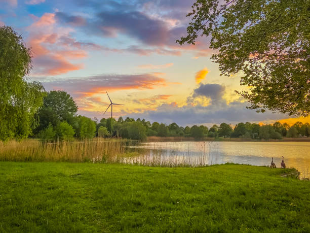 istock Duck family sunset 2 1513169377