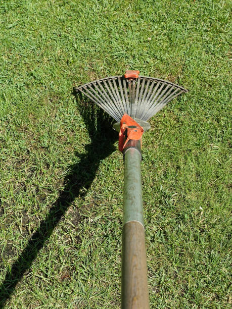 istock A leaf rake in the garden on the grass with shadow 1513208228
