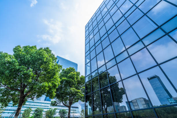 istock trees and blue sky reflected on the glass wall 1513212680