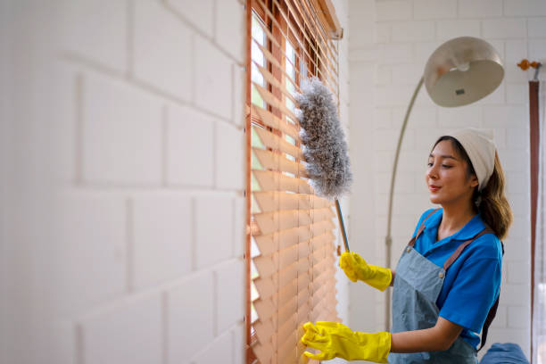 istock House keeper clean living room. 1513294074