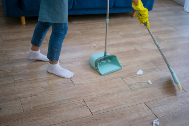 istock House keeper clean living room. 1513294603