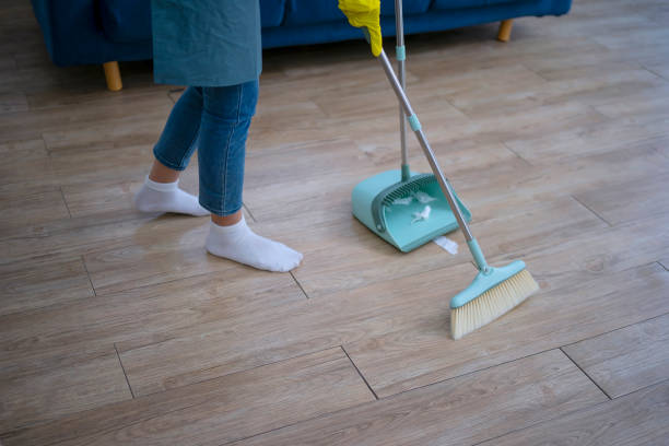istock House keeper clean living room. 1513294612