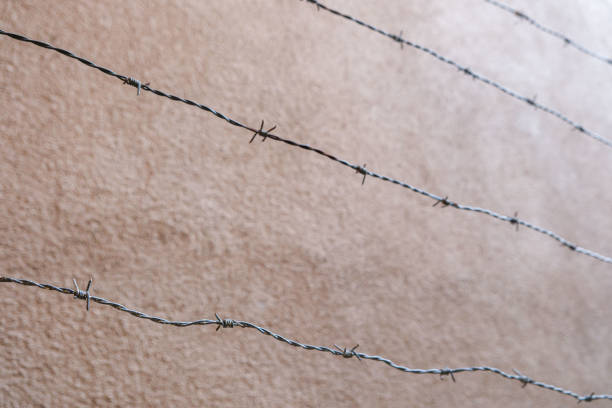 Galvanised steel barbed wire with gray wall in the background